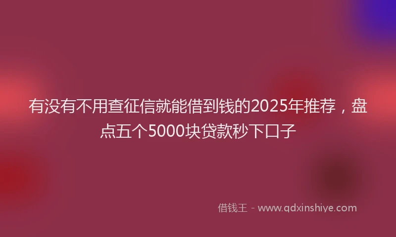 有没有不用查征信就能借到钱的2025年推荐，盘点五个5000块贷款秒下口子
