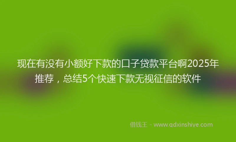 现在有没有小额好下款的口子贷款平台啊2025年推荐，总结5个快速下款无视征信的软件