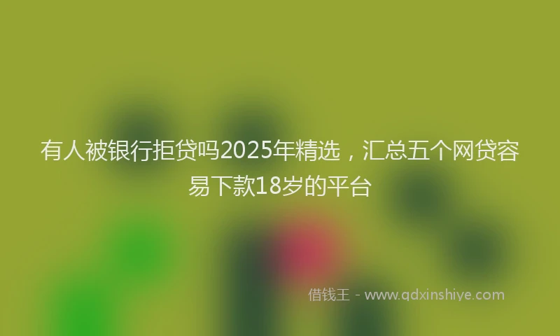 有人被银行拒贷吗2025年精选，汇总五个网贷容易下款18岁的平台