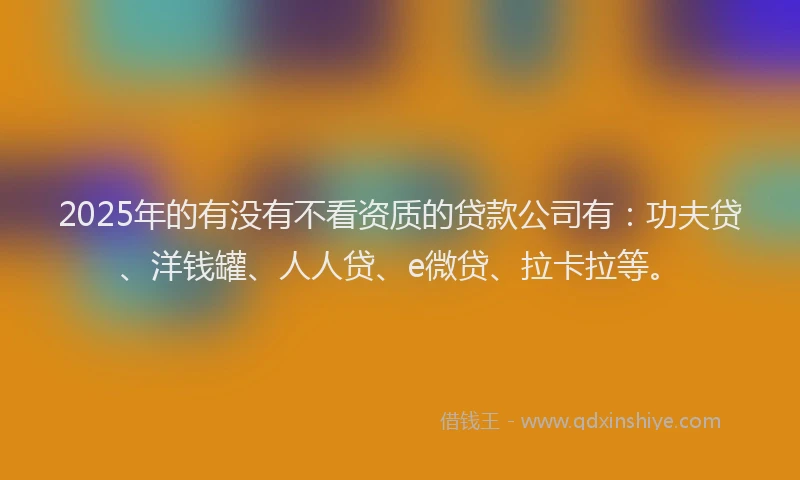 2025年的有没有不看资质的贷款公司有：功夫贷、洋钱罐、人人贷、e微贷、拉卡拉等。