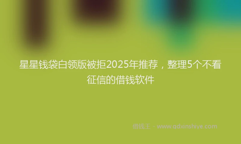 星星钱袋白领版被拒2025年推荐，整理5个不看征信的借钱软件