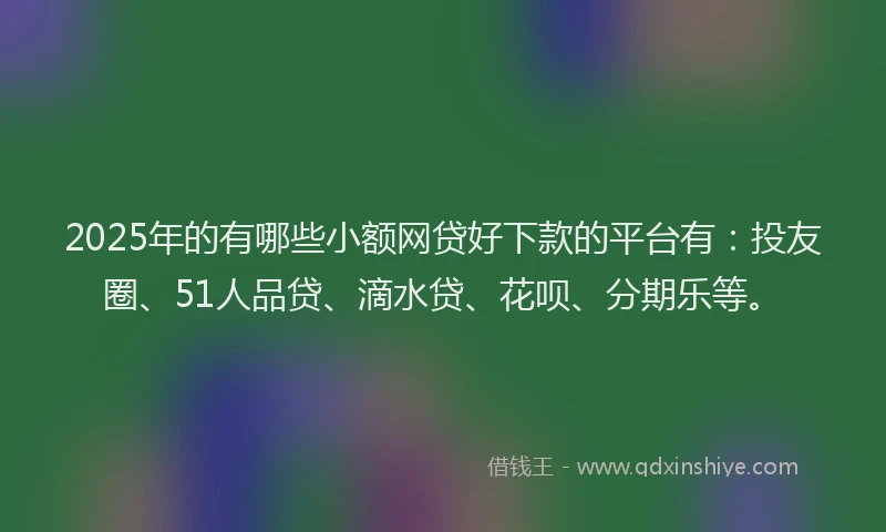 2025年的有哪些小额网贷好下款的平台有：投友圈、51人品贷、滴水贷、花呗、分期乐等。