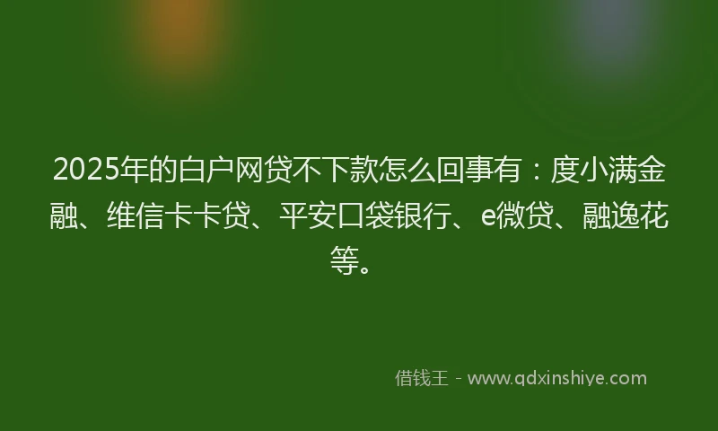 2025年的白户网贷不下款怎么回事有：度小满金融、维信卡卡贷、平安口袋银行、e微贷、融逸花等。
