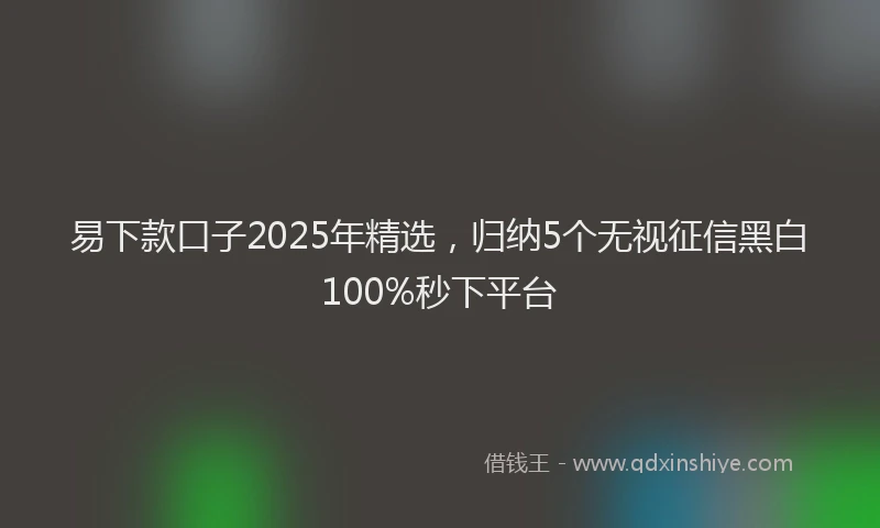 易下款口子2025年精选，归纳5个无视征信黑白100%秒下平台