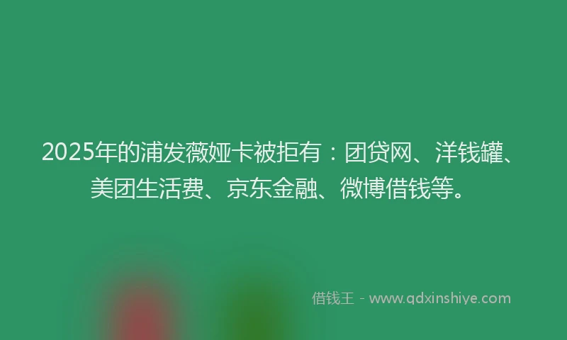 2025年的浦发薇娅卡被拒有：团贷网、洋钱罐、美团生活费、京东金融、微博借钱等。