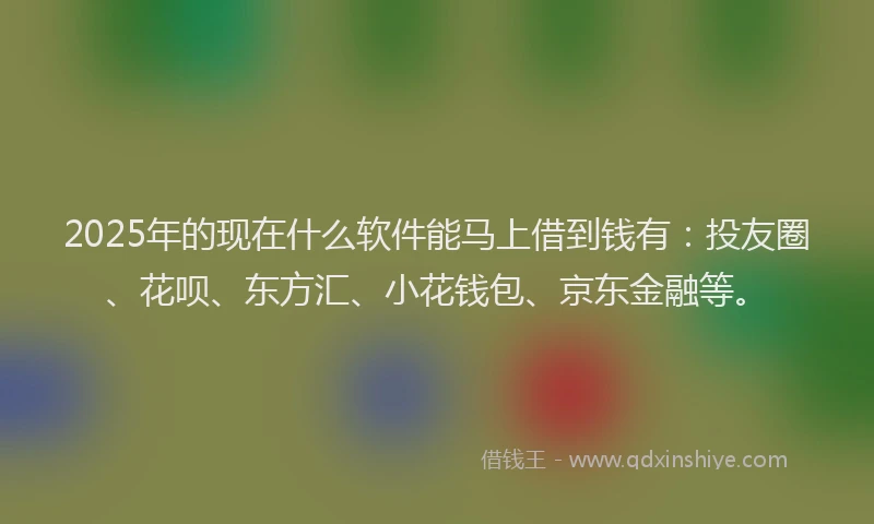 2025年的现在什么软件能马上借到钱有：投友圈、花呗、东方汇、小花钱包、京东金融等。