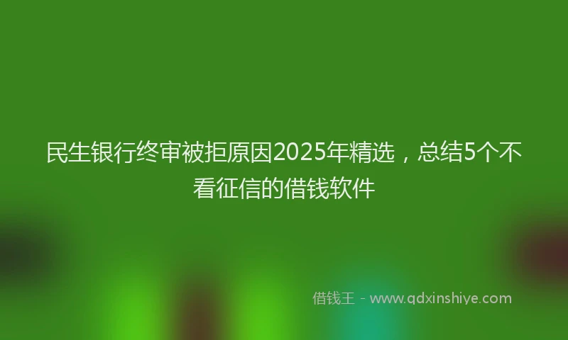民生银行终审被拒原因2025年精选，总结5个不看征信的借钱软件