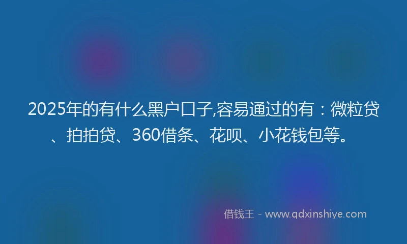 2025年的有什么黑户口子,容易通过的有：微粒贷、拍拍贷、360借条、花呗、小花钱包等。