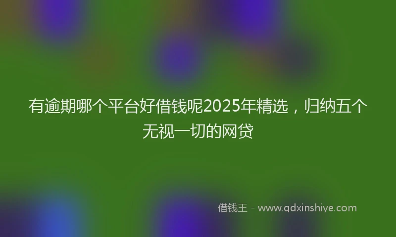 有逾期哪个平台好借钱呢2025年精选，归纳五个无视一切的网贷