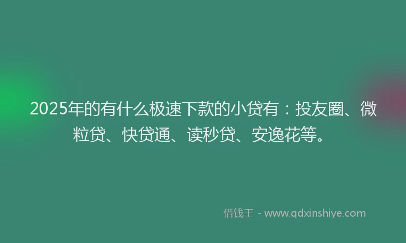 2025年的有什么极速下款的小贷有：投友圈、微粒贷、快贷通、读秒贷、安逸花等。