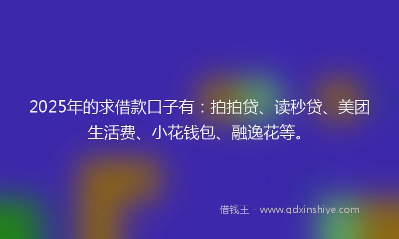 2025年的求借款口子有：拍拍贷、读秒贷、美团生活费、小花钱包、融逸花等。