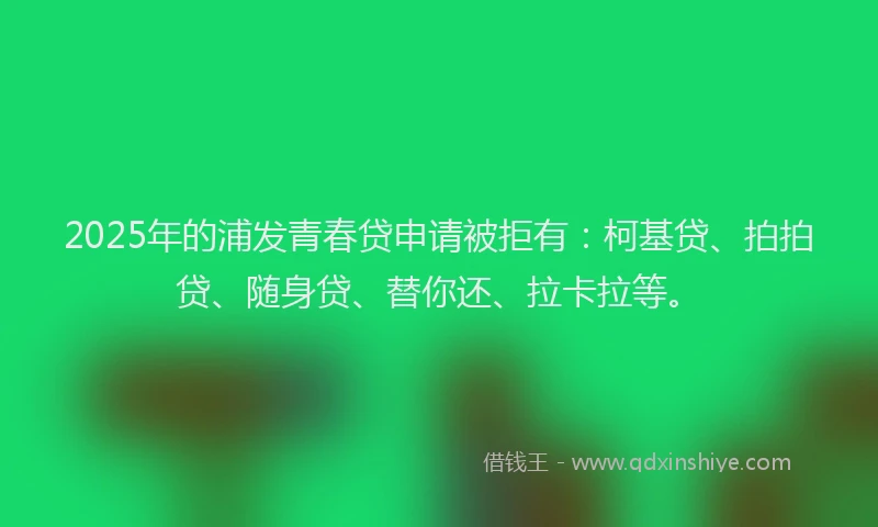 2025年的浦发青春贷申请被拒有：柯基贷、拍拍贷、随身贷、替你还、拉卡拉等。
