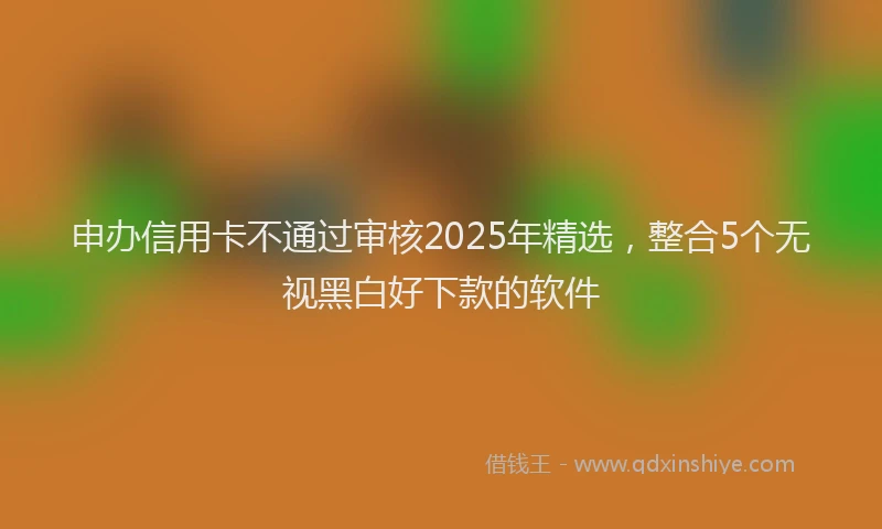 申办信用卡不通过审核2025年精选，整合5个无视黑白好下款的软件