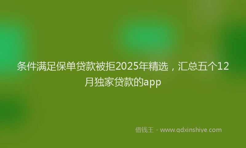 条件满足保单贷款被拒2025年精选，汇总五个12月独家贷款的app