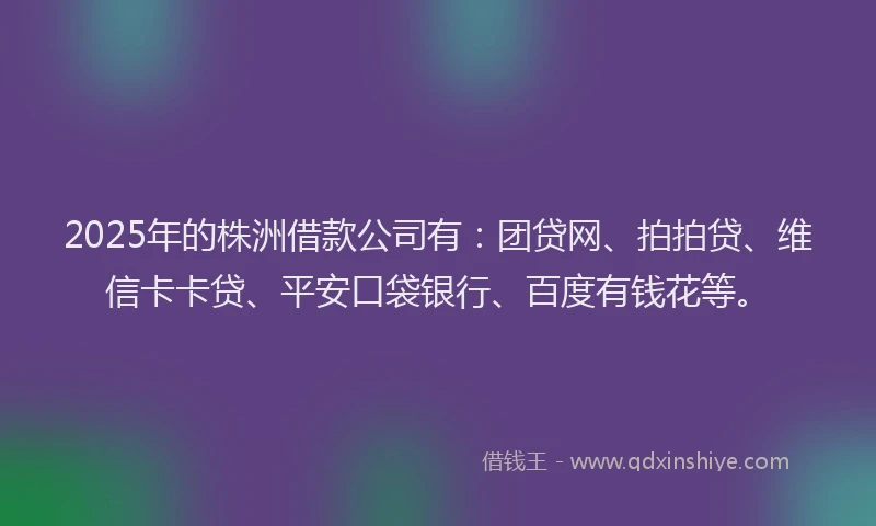 2025年的株洲借款公司有：团贷网、拍拍贷、维信卡卡贷、平安口袋银行、百度有钱花等。