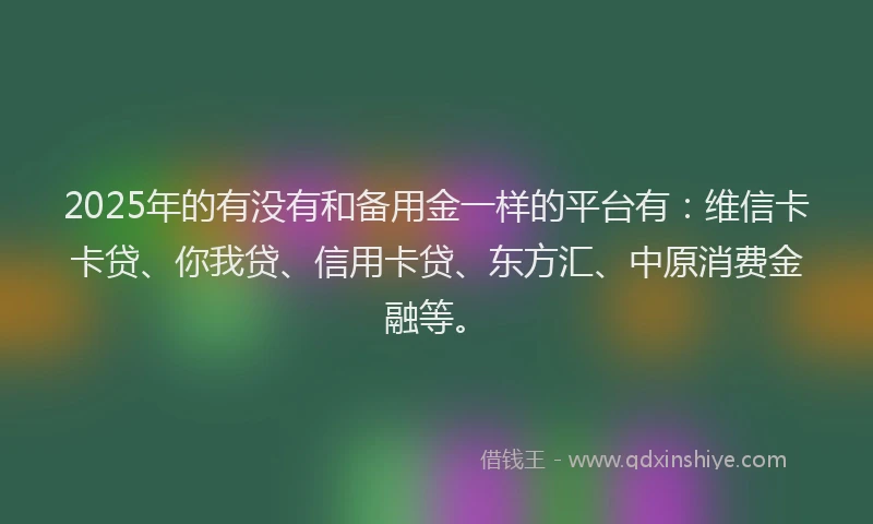 2025年的有没有和备用金一样的平台有：维信卡卡贷、你我贷、信用卡贷、东方汇、中原消费金融等。