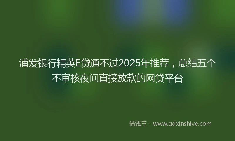 浦发银行精英E贷通不过2025年推荐，总结五个不审核夜间直接放款的网贷平台