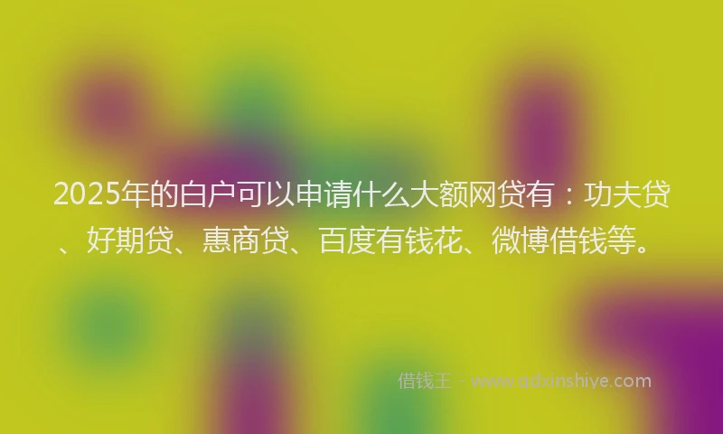 2025年的白户可以申请什么大额网贷有：功夫贷、好期贷、惠商贷、百度有钱花、微博借钱等。