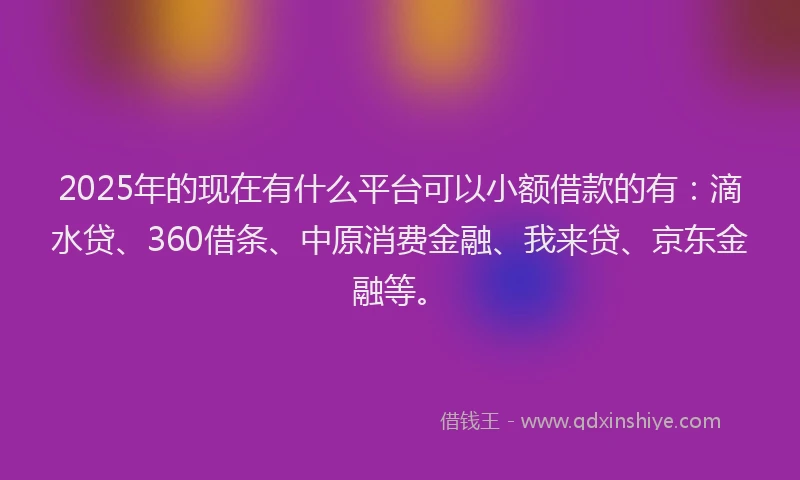 2025年的现在有什么平台可以小额借款的有：滴水贷、360借条、中原消费金融、我来贷、京东金融等。
