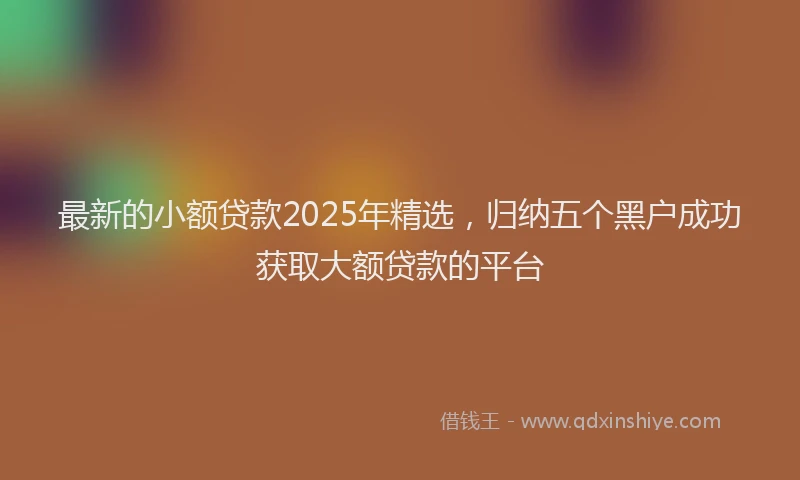 最新的小额贷款2025年精选，归纳五个黑户成功获取大额贷款的平台