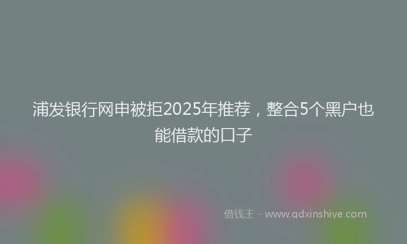 浦发银行网申被拒2025年推荐，整合5个黑户也能借款的口子