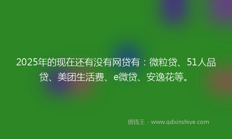 2025年的现在还有没有网贷有：微粒贷、51人品贷、美团生活费、e微贷、安逸花等。