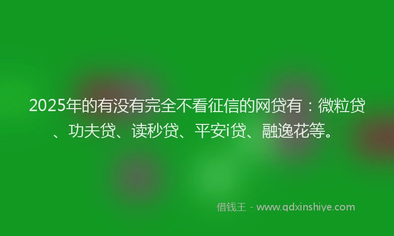 2025年的有没有完全不看征信的网贷有：微粒贷、功夫贷、读秒贷、平安i贷、融逸花等。
