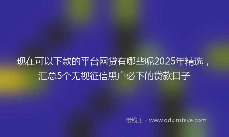 现在可以下款的平台网贷有哪些呢2025年精选，汇总5个无视征信黑户必下的贷款口子