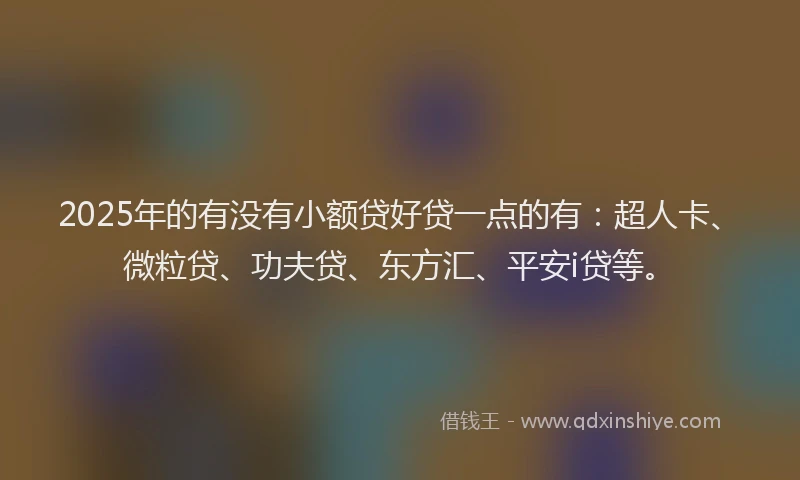 2025年的有没有小额贷好贷一点的有：超人卡、微粒贷、功夫贷、东方汇、平安i贷等。
