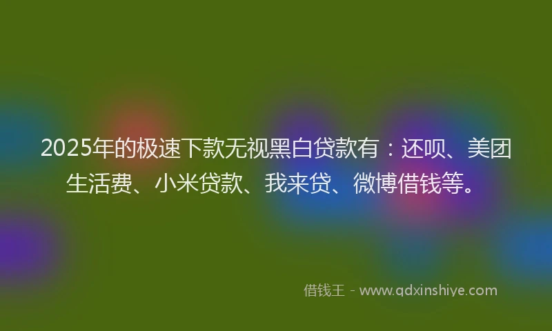 2025年的极速下款无视黑白贷款有：还呗、美团生活费、小米贷款、我来贷、微博借钱等。