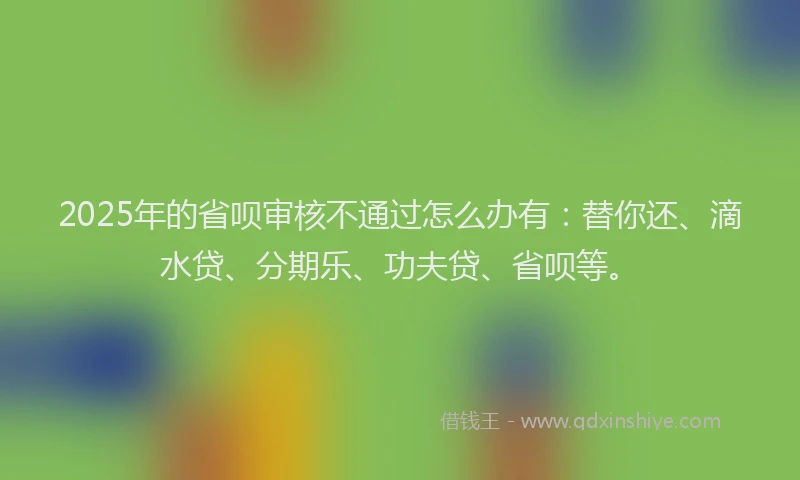 2025年的省呗审核不通过怎么办有：替你还、滴水贷、分期乐、功夫贷、省呗等。