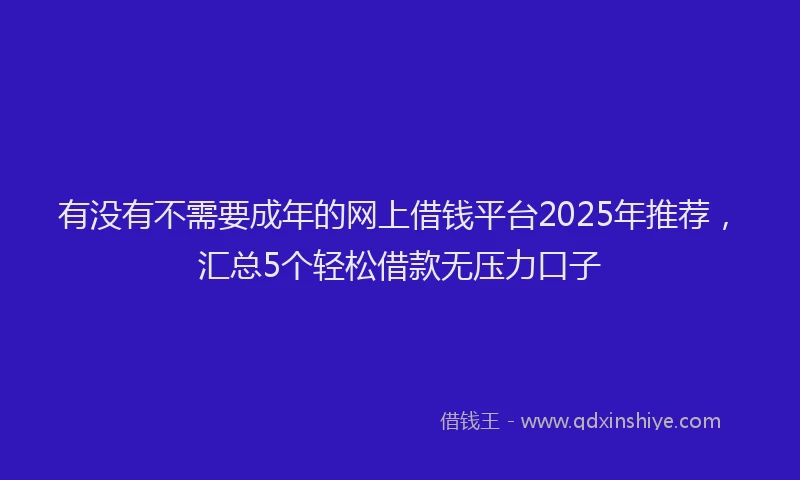 有没有不需要成年的网上借钱平台2025年推荐，汇总5个轻松借款无压力口子