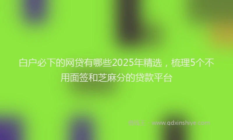 白户必下的网贷有哪些2025年精选，梳理5个不用面签和芝麻分的贷款平台