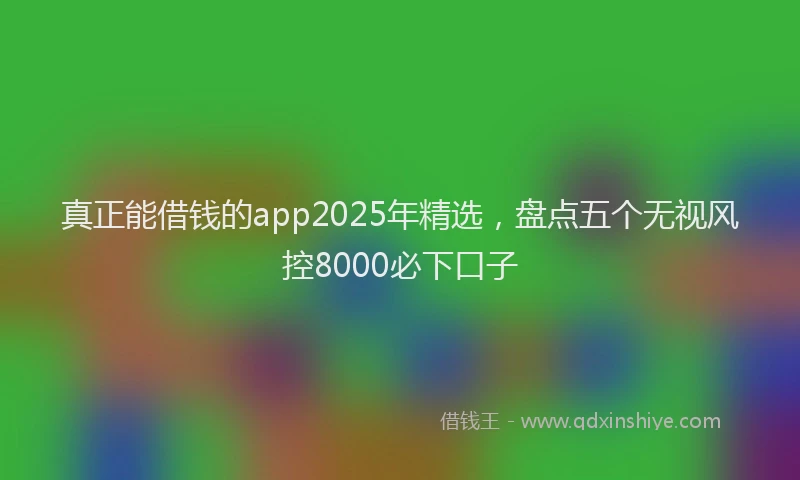 真正能借钱的app2025年精选，盘点五个无视风控8000必下口子