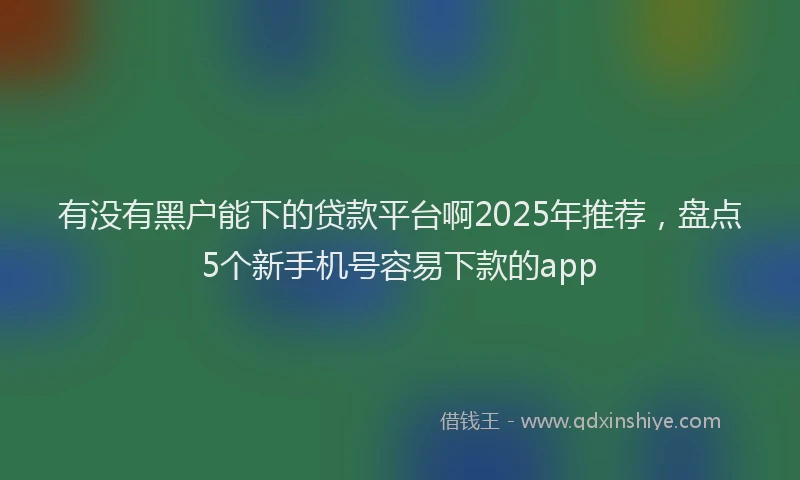 有没有黑户能下的贷款平台啊2025年推荐，盘点5个新手机号容易下款的app