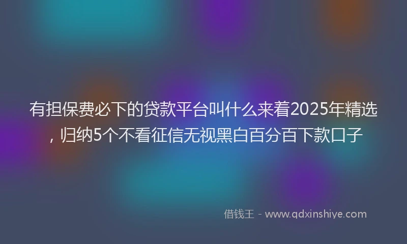 有担保费必下的贷款平台叫什么来着2025年精选，归纳5个不看征信无视黑白百分百下款口子