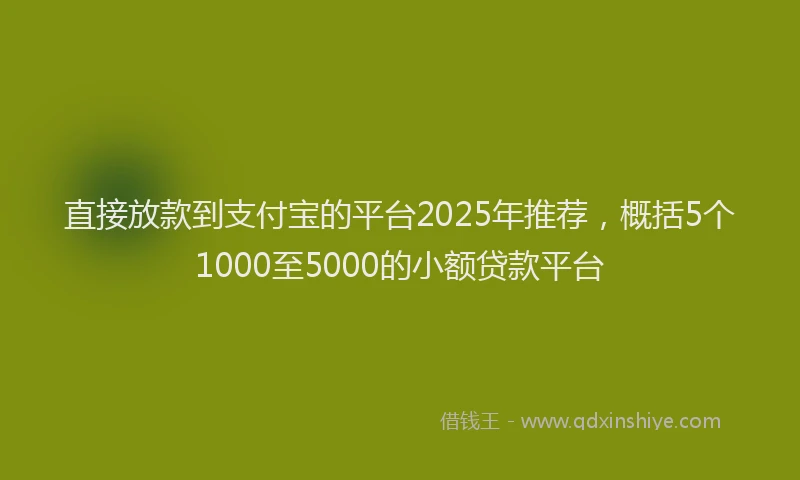 直接放款到支付宝的平台2025年推荐，概括5个1000至5000的小额贷款平台