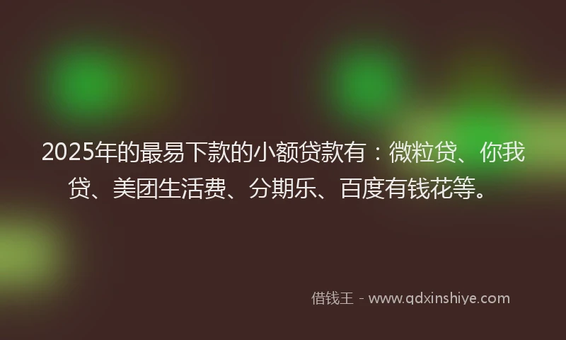 2025年的最易下款的小额贷款有：微粒贷、你我贷、美团生活费、分期乐、百度有钱花等。
