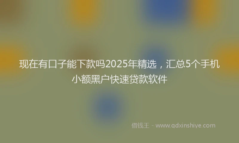 现在有口子能下款吗2025年精选，汇总5个手机小额黑户快速贷款软件