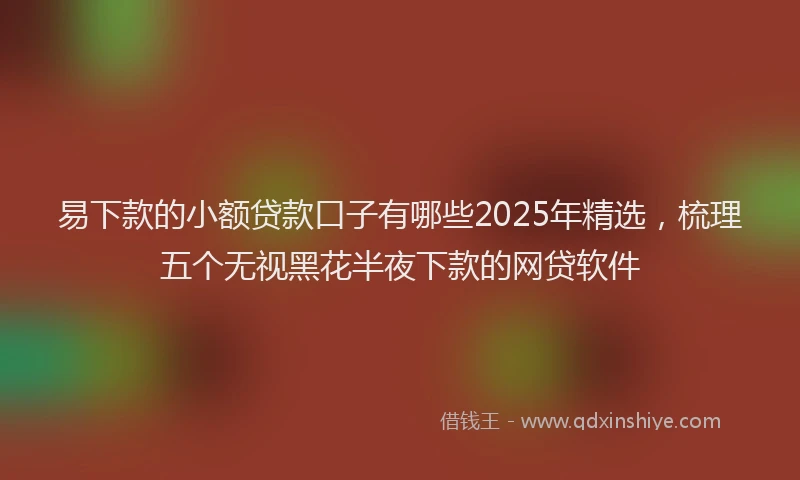 易下款的小额贷款口子有哪些2025年精选，梳理五个无视黑花半夜下款的网贷软件