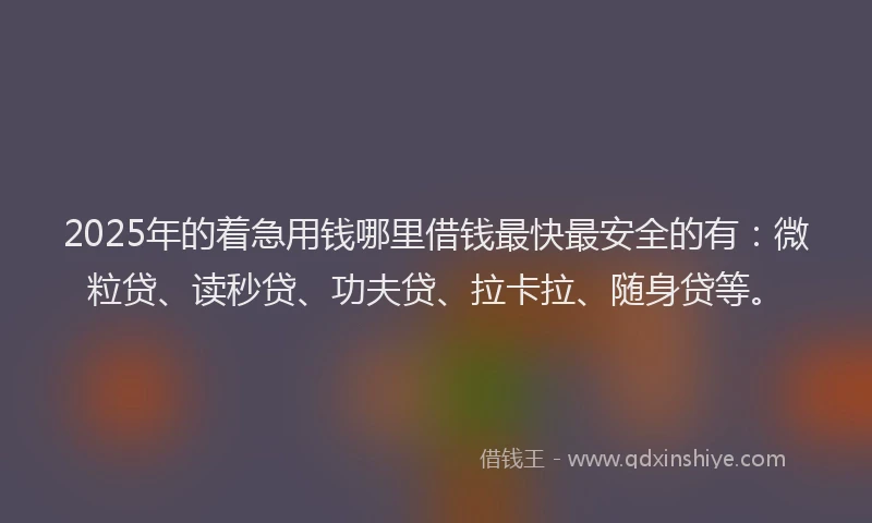 2025年的着急用钱哪里借钱最快最安全的有：微粒贷、读秒贷、功夫贷、拉卡拉、随身贷等。