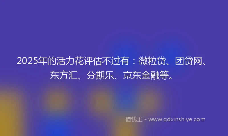 2025年的活力花评估不过有：微粒贷、团贷网、东方汇、分期乐、京东金融等。