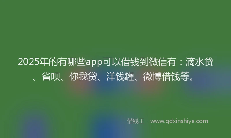 2025年的有哪些app可以借钱到微信有：滴水贷、省呗、你我贷、洋钱罐、微博借钱等。