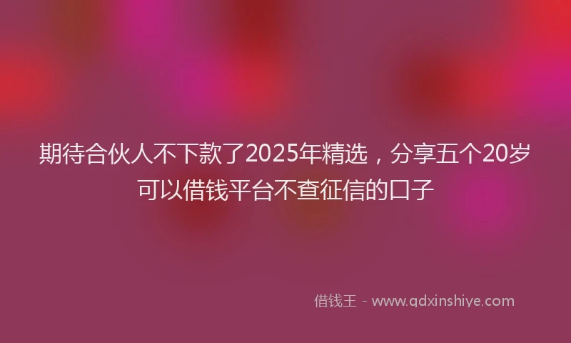 期待合伙人不下款了2025年精选，分享五个20岁可以借钱平台不查征信的口子