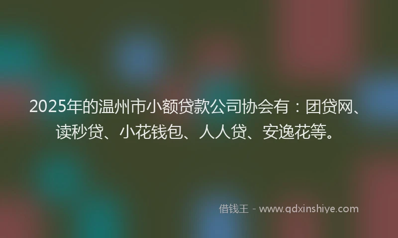 2025年的温州市小额贷款公司协会有：团贷网、读秒贷、小花钱包、人人贷、安逸花等。