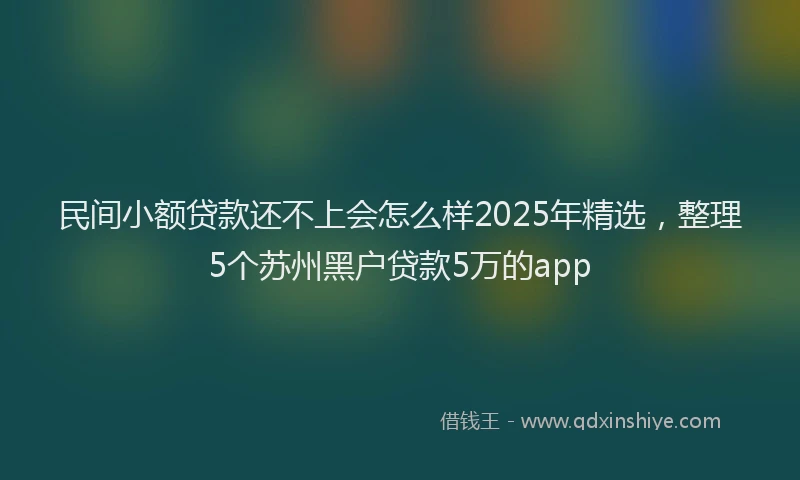民间小额贷款还不上会怎么样2025年精选，整理5个苏州黑户贷款5万的app
