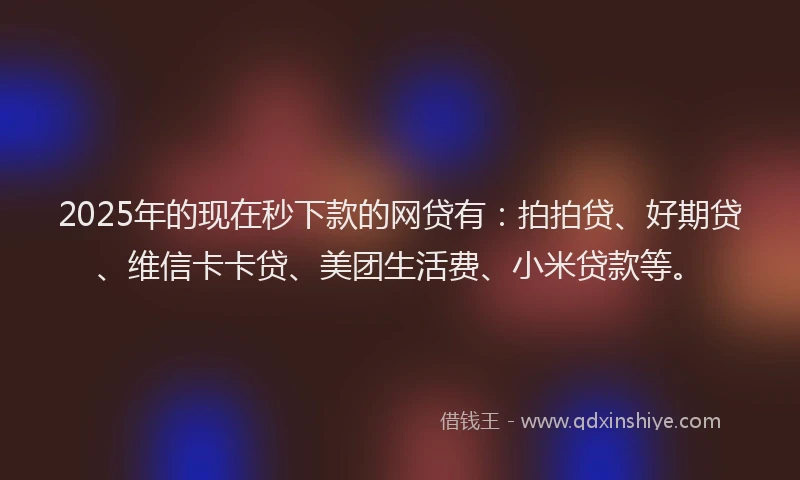 2025年的现在秒下款的网贷有：拍拍贷、好期贷、维信卡卡贷、美团生活费、小米贷款等。