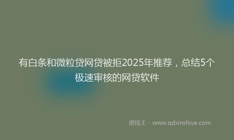 有白条和微粒贷网贷被拒2025年推荐，总结5个极速审核的网贷软件