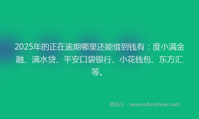 2025年的正在逾期哪里还能借到钱有：度小满金融、滴水贷、平安口袋银行、小花钱包、东方汇等。