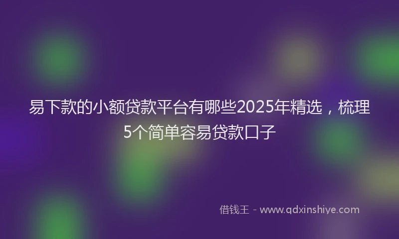 易下款的小额贷款平台有哪些2025年精选，梳理5个简单容易贷款口子